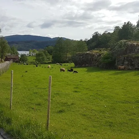 Molvik Hytten Сasa de vacaciones *